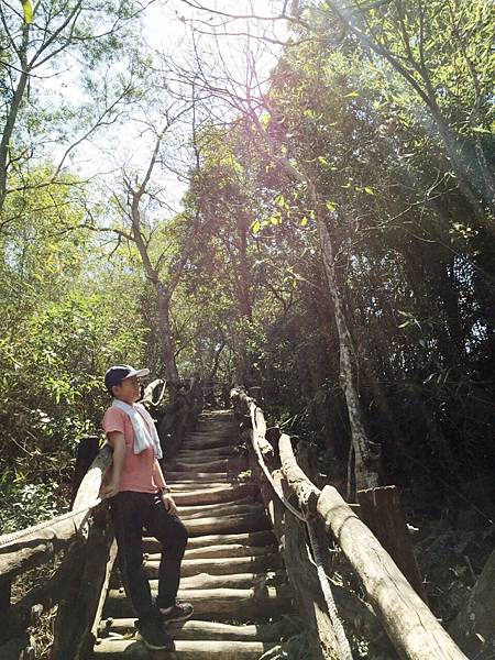 大坑一號11.JPG 大坑一號11.JPG