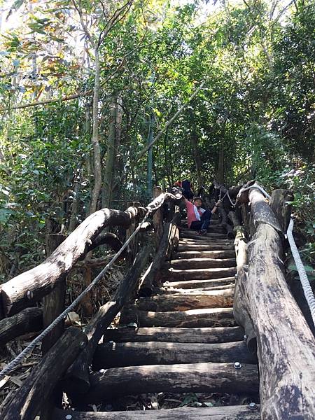 大坑一號12.JPG 大坑一號12.JPG