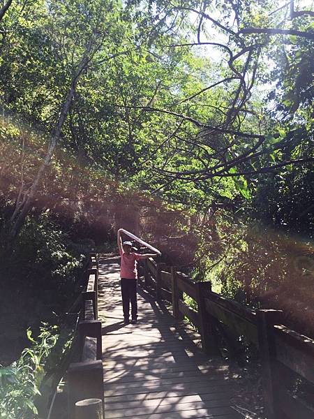 大坑一號02.JPG 大坑一號02.JPG