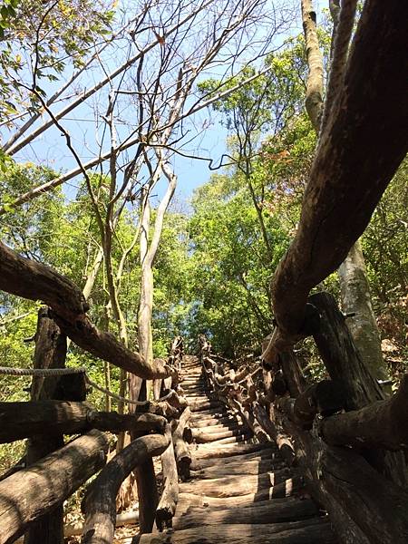 大坑一號09.JPG 大坑一號09.JPG