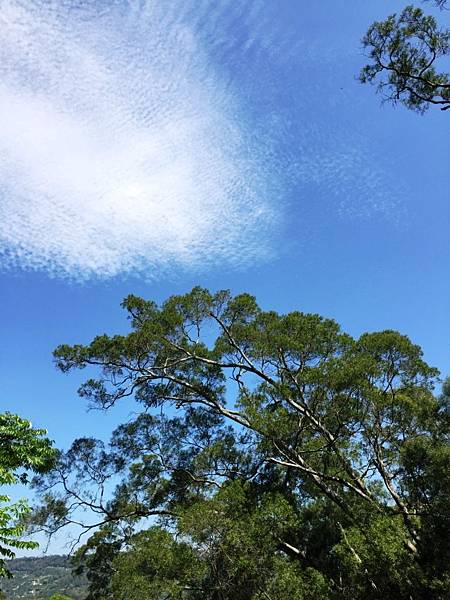 大坑一號17.JPG 大坑一號17.JPG