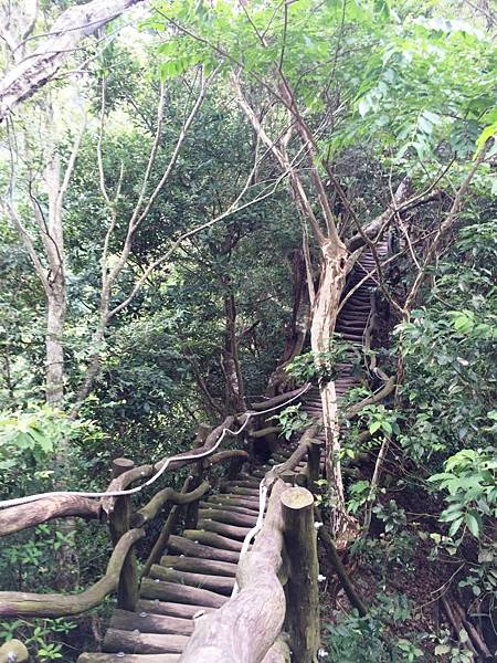 大坑2號07.JPG 大坑2號07.JPG