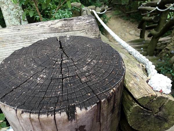 大坑2號06.JPG 大坑2號06.JPG