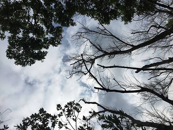 大坑2號03.JPG 大坑2號03.JPG