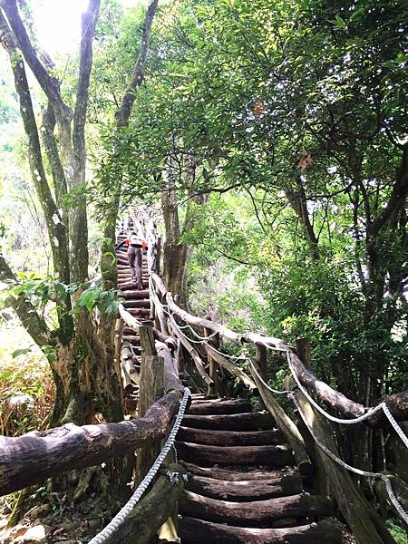 大坑2號12.JPG 大坑2號12.JPG