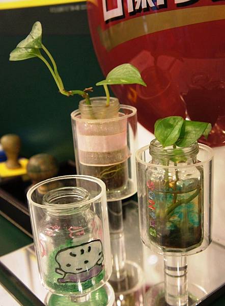 白蘭氏12.JPG 白蘭氏12.JPG