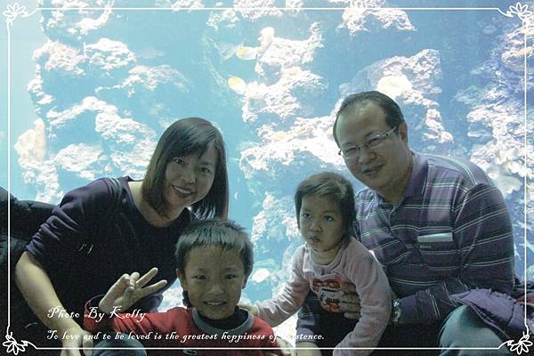 1000206海生館003.jpg 1000206海生館003.jpg