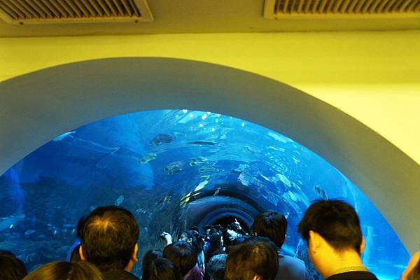 1000206海生館006.JPG 1000206海生館006.JPG