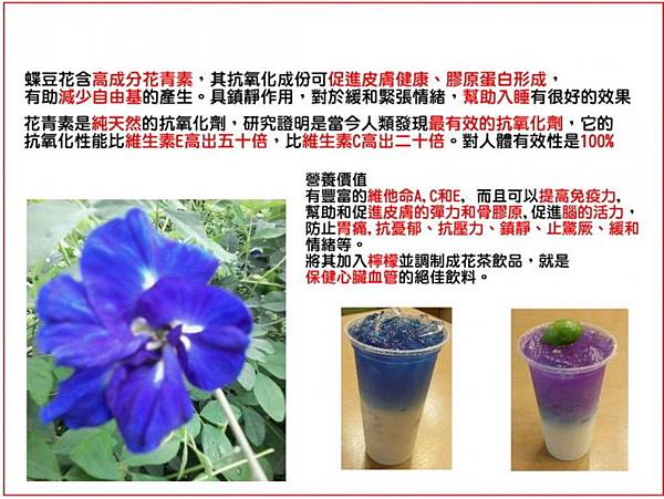 亮麗色彩蝶豆花全省經銷商募集中-4_3.jpg