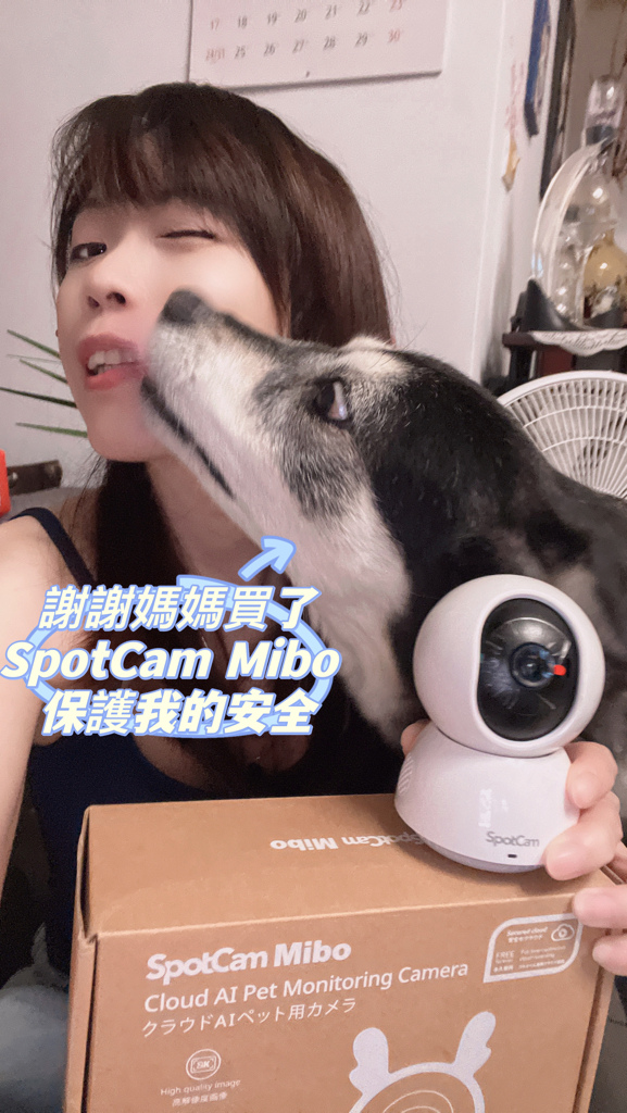 寵物監視器推薦｜SpotCam Mibo 寵物攝影機｜寵物監