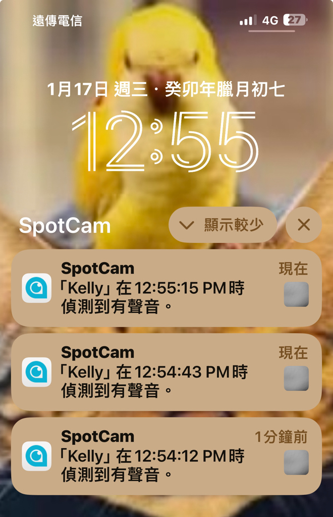 寵物監視器推薦｜SpotCam Mibo 寵物攝影機｜寵物監