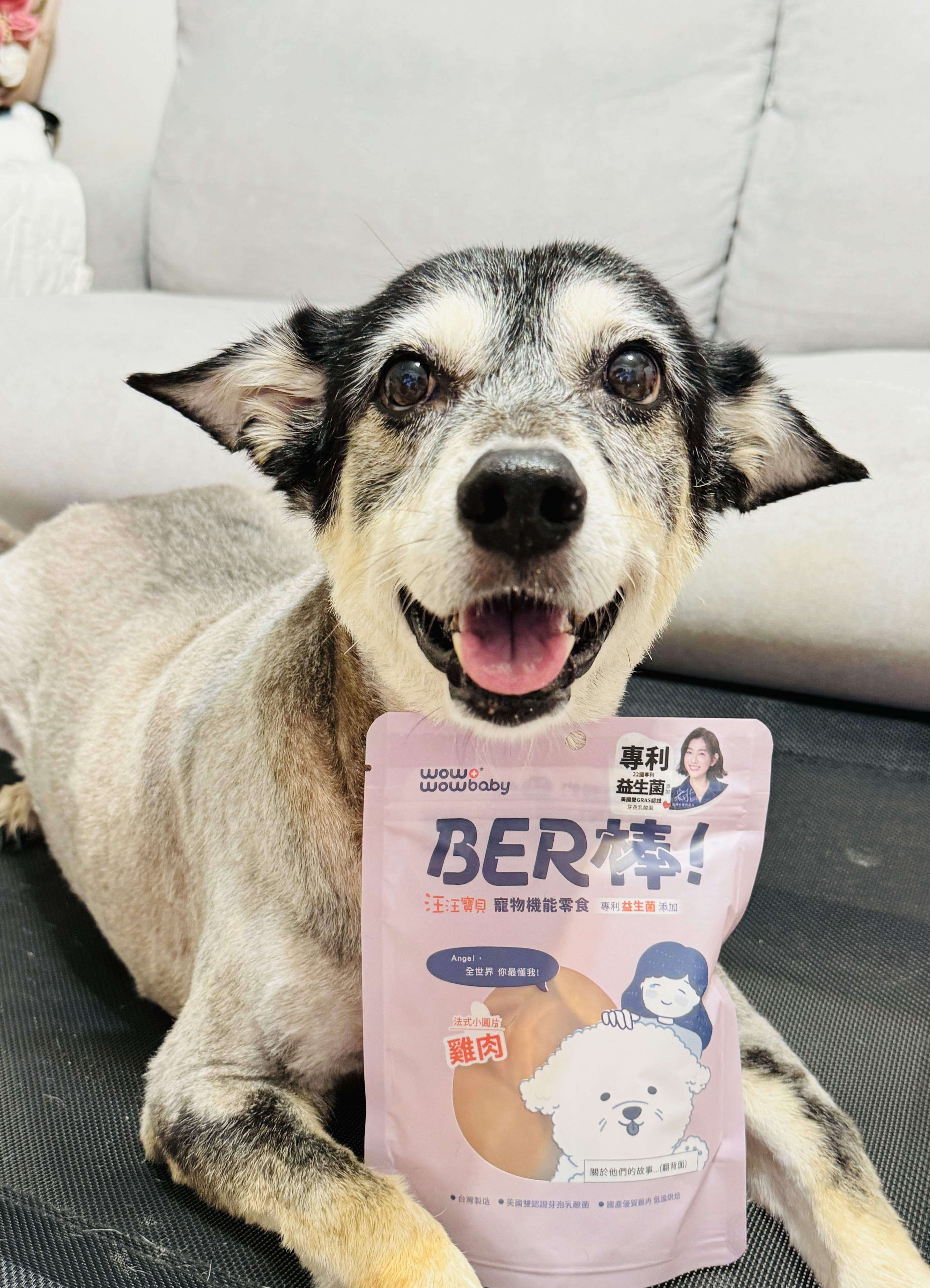 狗狗零食推薦_汪汪寶貝寵物機能零食 BER 棒
