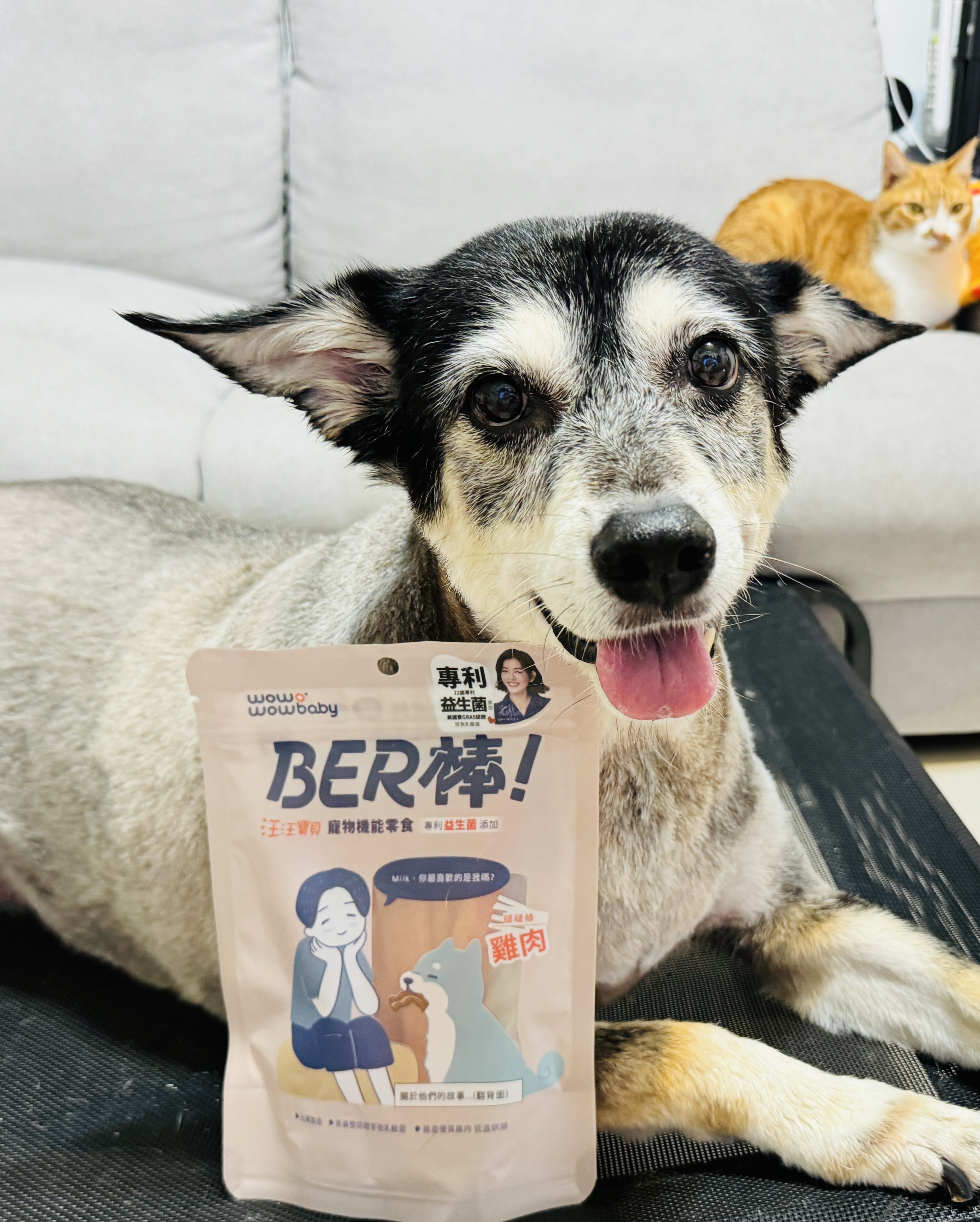 狗狗零食推薦_汪汪寶貝寵物機能零食 BER 棒