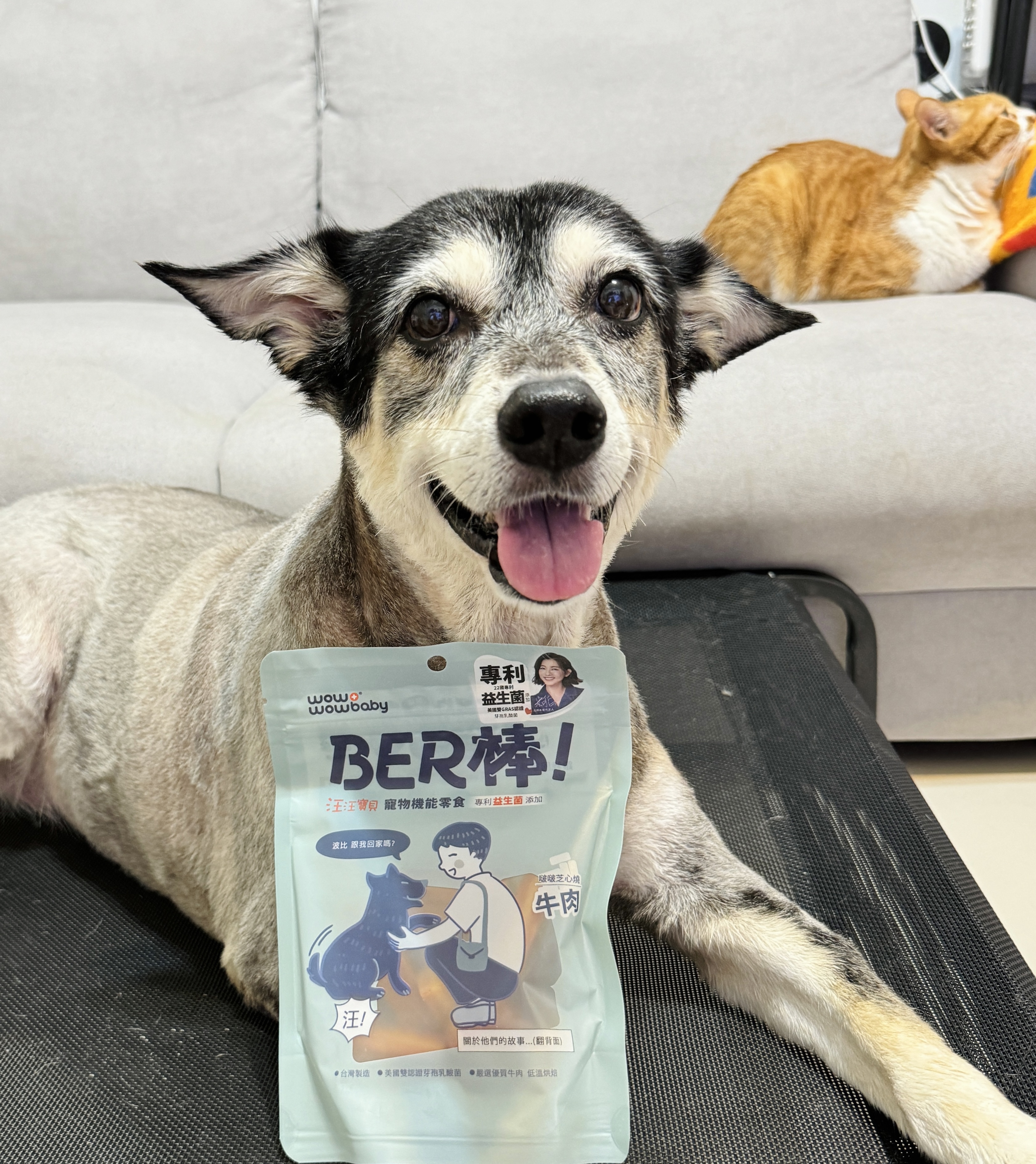 狗狗零食推薦_汪汪寶貝寵物機能零食 BER 棒
