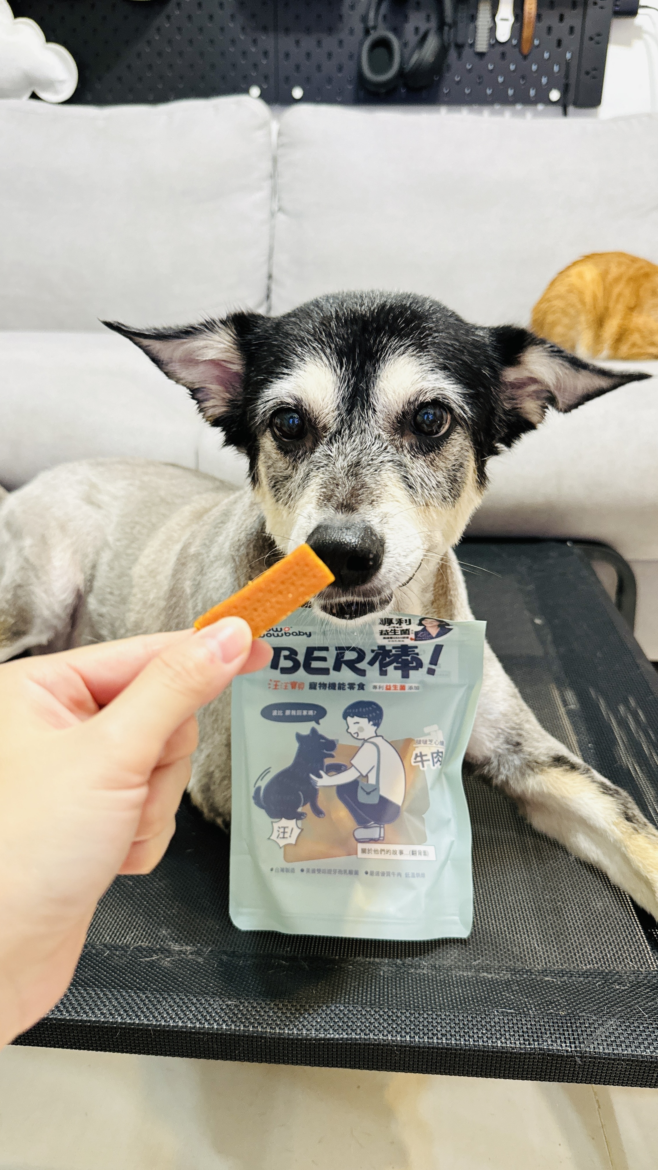 狗狗零食推薦_汪汪寶貝寵物機能零食 BER 棒