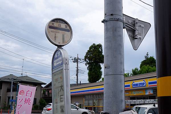 東京近郊>>龍貓森林トトロの森│埼玉所澤 東京近郊>>龍貓森林トトロの森│埼玉所澤