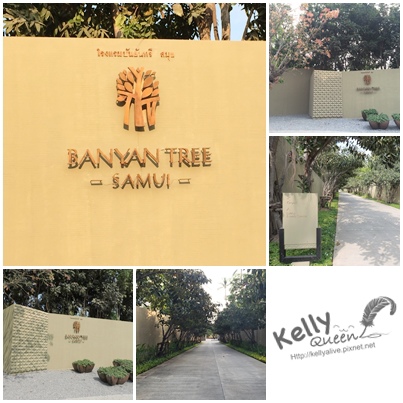 Banyantree門口.jpg