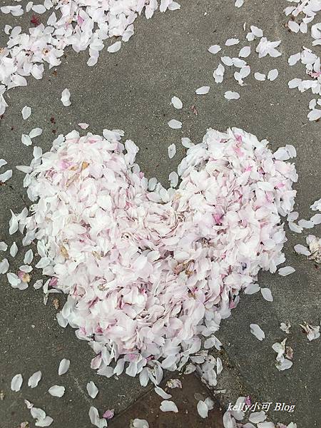 韓國自由行(65).JPG 韓國自由行(65).JPG