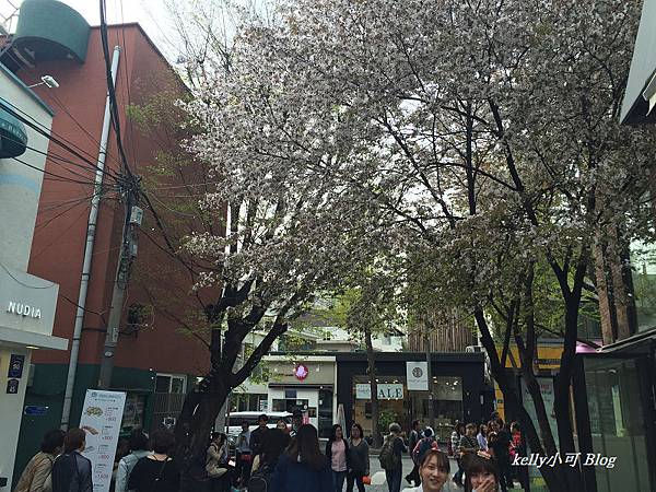 韓國自由行(64).JPG 韓國自由行(64).JPG