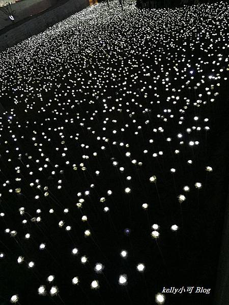 韓行(5天) (48).JPG