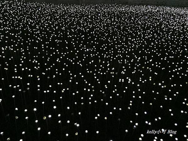 韓行(5天) (49).JPG