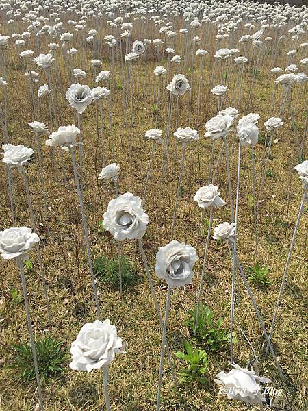 韓國自由行6 (16).JPG