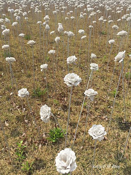 韓國自由行6 (18).JPG 韓國自由行6 (18).JPG