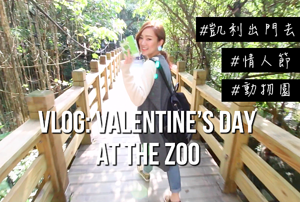 vlog blog