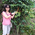 DSCF1406.jpg