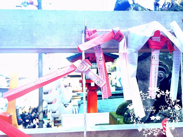 IMG_3040 IMG_3040