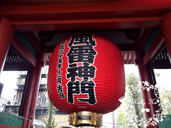 IMG_3359 IMG_3359