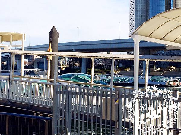 IMG_3464 IMG_3464