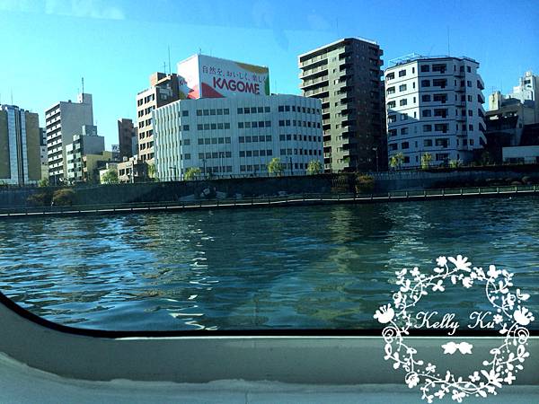 IMG_3486 IMG_3486