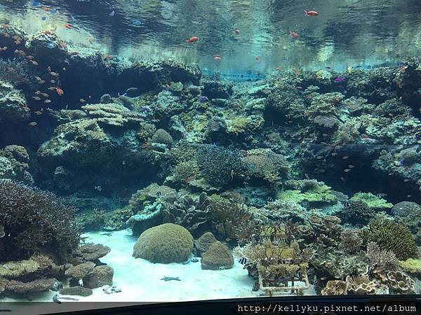 IMG_4289.JPG IMG_4289.JPG
