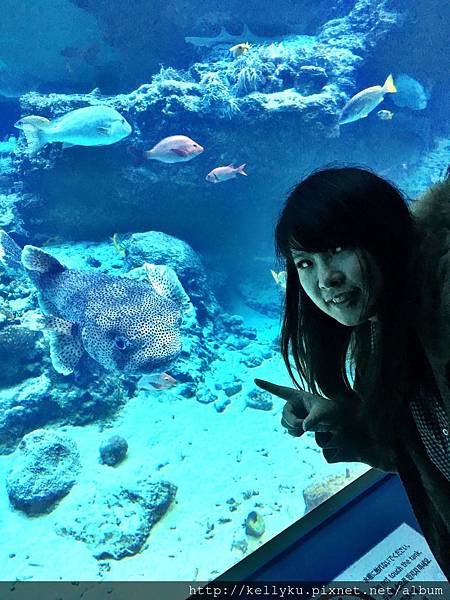 IMG_4298.JPG IMG_4298.JPG