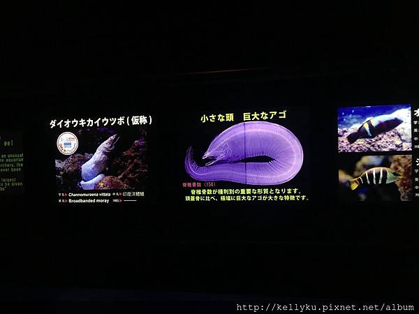 IMG_4328.JPG IMG_4328.JPG
