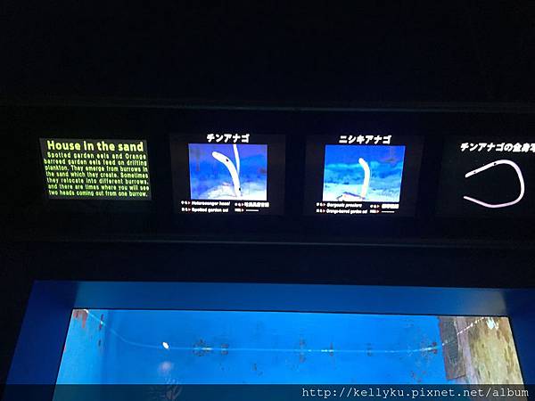 IMG_4334.JPG IMG_4334.JPG