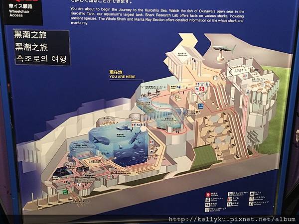 IMG_4337.JPG IMG_4337.JPG