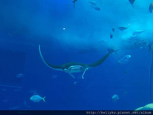 IMG_4344.JPG IMG_4344.JPG