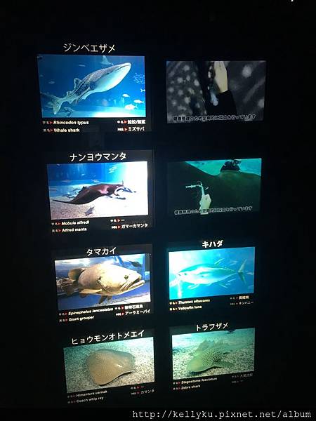 IMG_4362.JPG IMG_4362.JPG