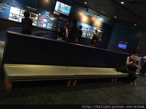 IMG_4369.JPG IMG_4369.JPG