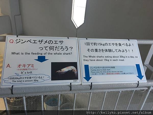 IMG_4388.JPG IMG_4388.JPG