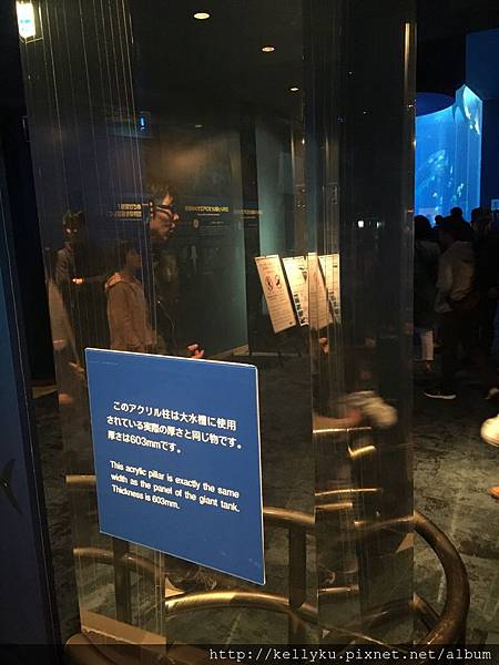 IMG_4394.JPG IMG_4394.JPG