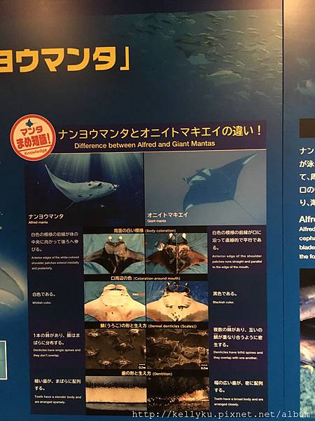 IMG_4395.JPG IMG_4395.JPG