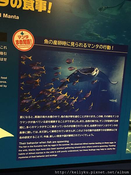 IMG_4397.JPG IMG_4397.JPG