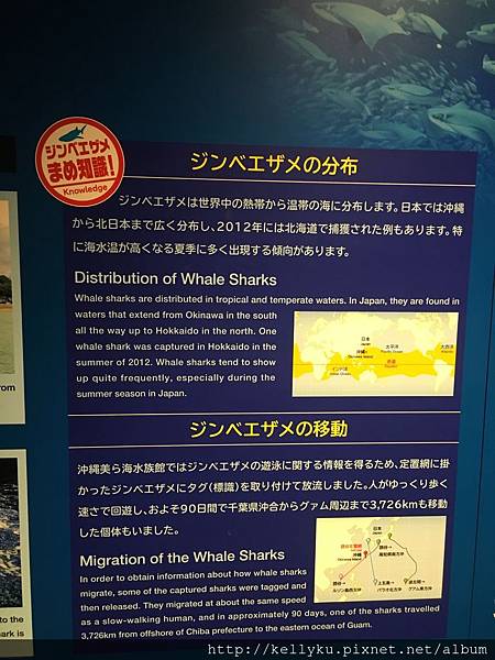 IMG_4405.JPG IMG_4405.JPG