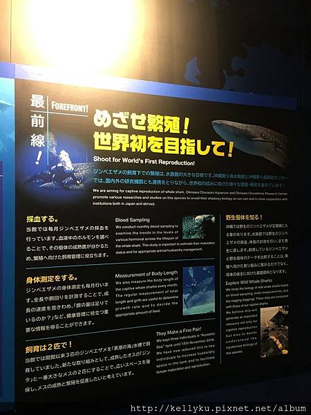 IMG_4407.JPG IMG_4407.JPG