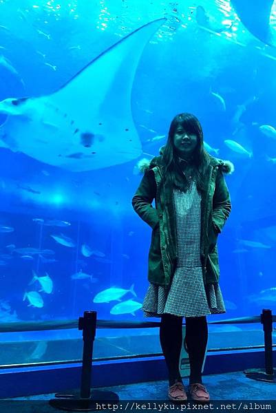 IMG_4433.JPG IMG_4433.JPG