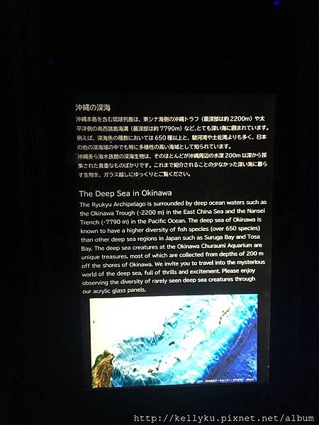 IMG_4439.JPG IMG_4439.JPG