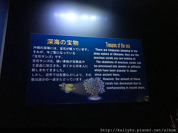IMG_4447.JPG IMG_4447.JPG